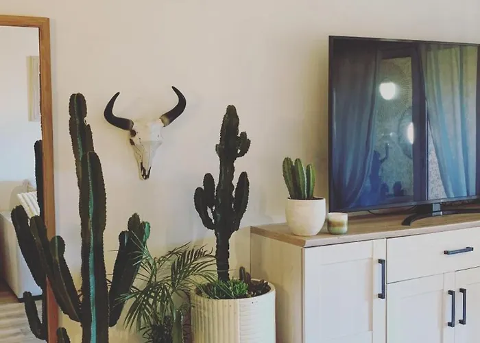 Appartement Bel Proche Aéroport *